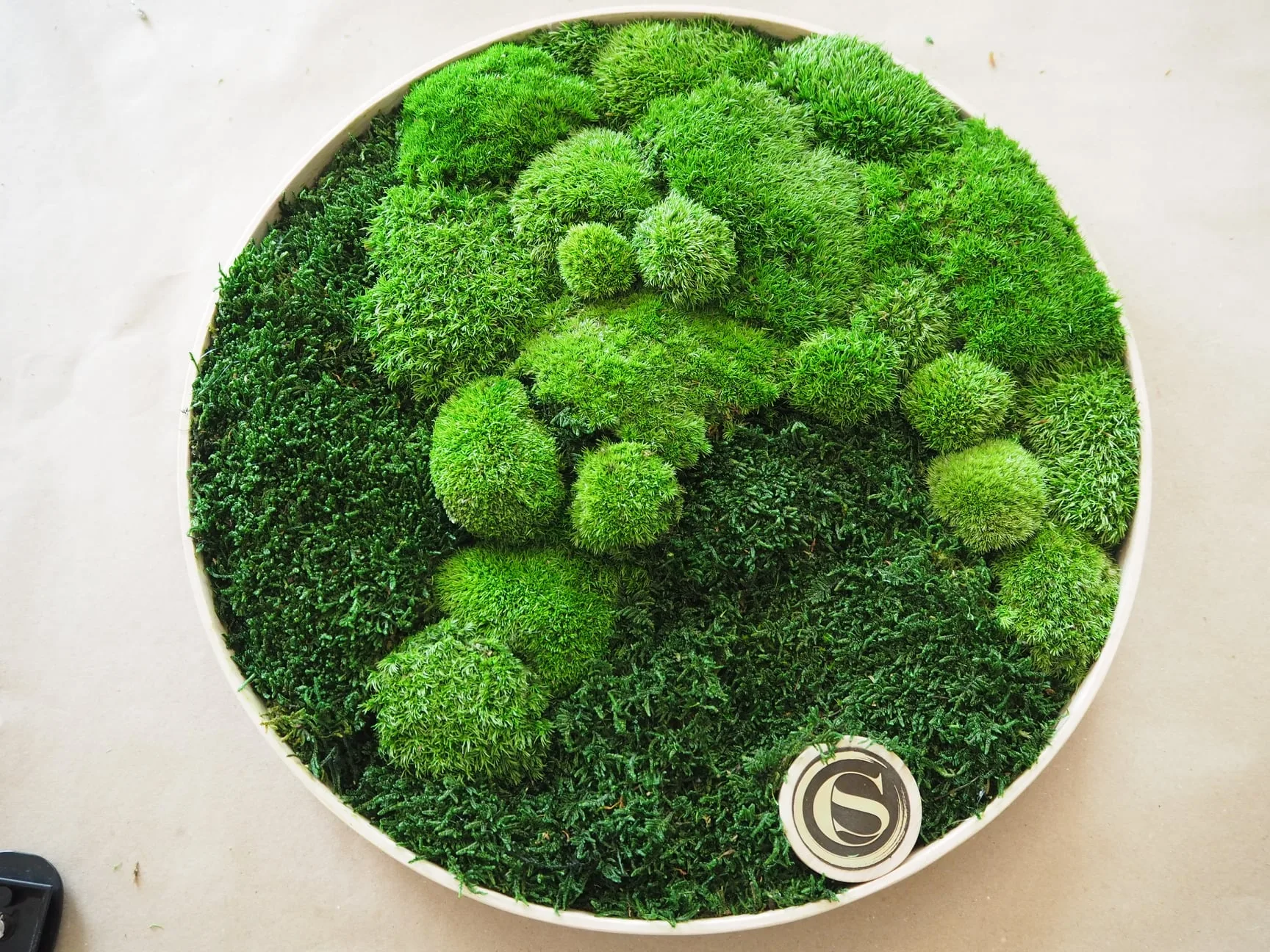 Obraz z mchu i roślin stabilizowanych - obrazek 5