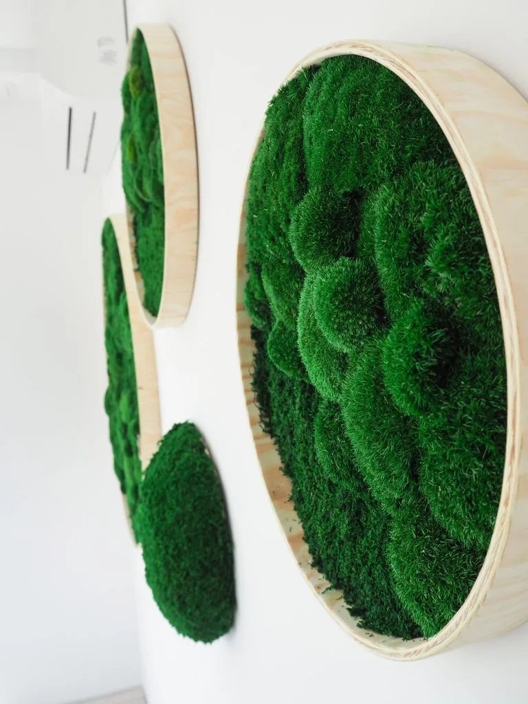 Obraz z mchu i roślin stabilizowanych - obrazek 2