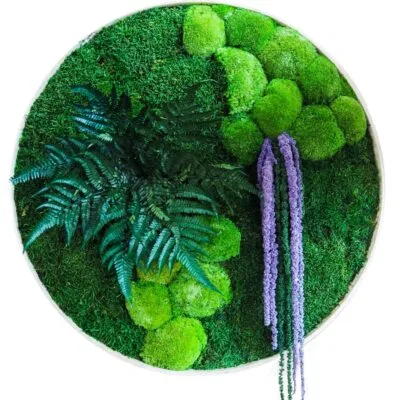 Image of moss and stabilized plants