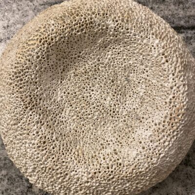 Oryginalna okrągła jasno beżowa misa na owoce handmade Beige Organic Hikra