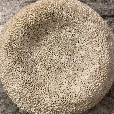 Oryginalna okrągła jasno beżowa misa na owoce handmade Beige Organic Hikra