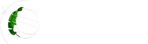 Studio Creative Shop