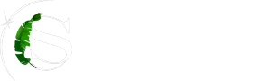 Logo Studio Creative Shop