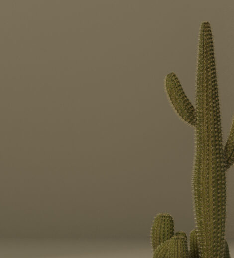 Panel dekoracyjny ze stali nierdzewnej płaski lustrzany - CHAMPAGNE