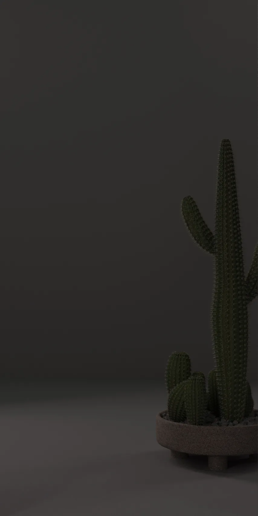 Panel dekoracyjny ze stali nierdzewnej płaski lustrzany - BLACK