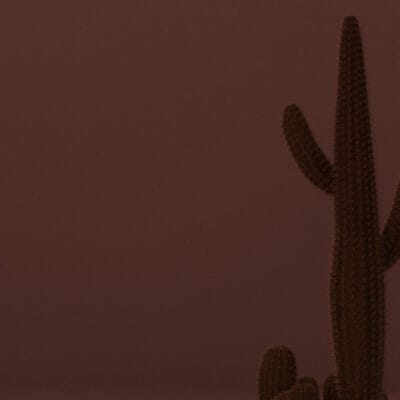 Panel dekoracyjny ze stali nierdzewnej płaski lustrzany - COPPER