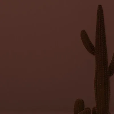 Panel dekoracyjny ze stali nierdzewnej płaski lustrzany - COPPER