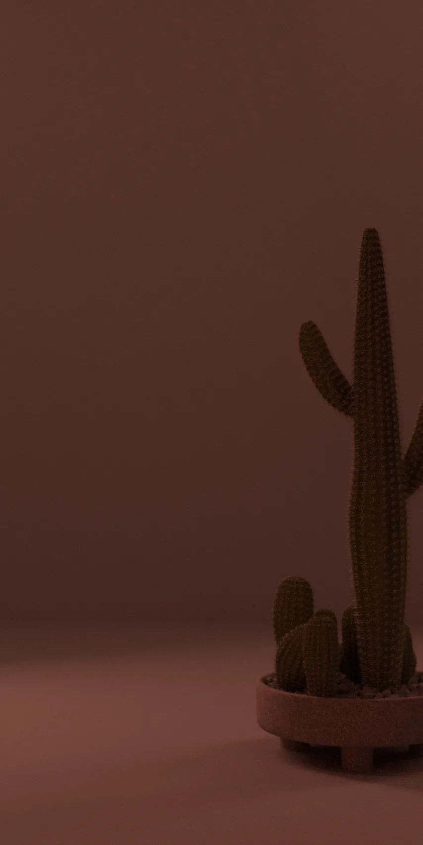 Panel dekoracyjny ze stali nierdzewnej płaski lustrzany - COPPER