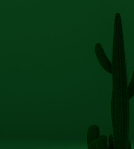 Panel dekoracyjny ze stali nierdzewnej płaski lustrzany - GREEN