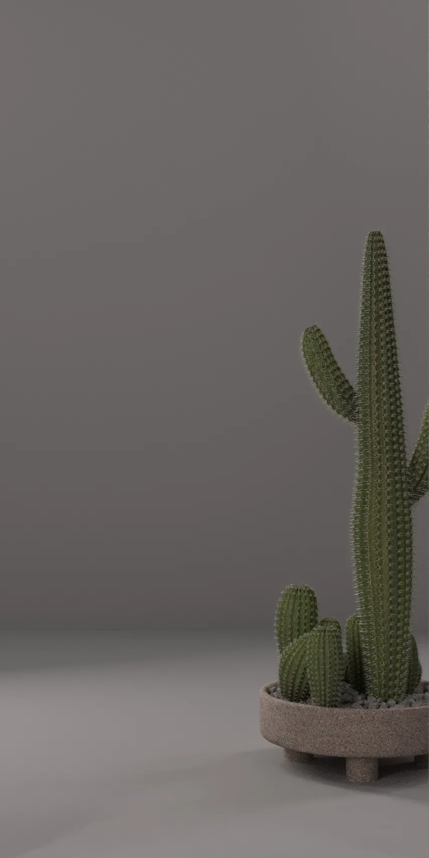 Panel dekoracyjny ze stali nierdzewnej płaski lustrzany - SILVER